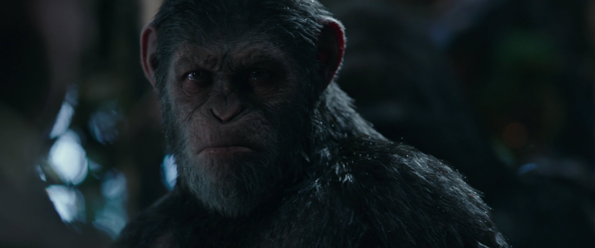 War for the Planet of the Apes (2017) screencap 972