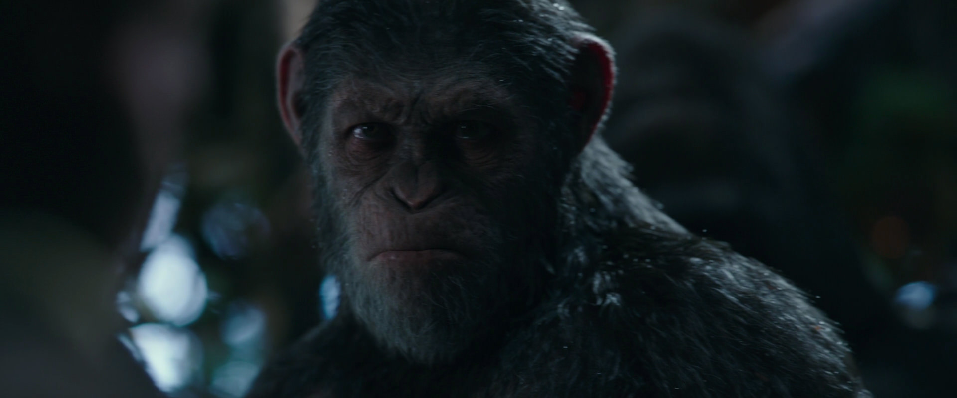 War for the Planet of the Apes (2017) movie still 973