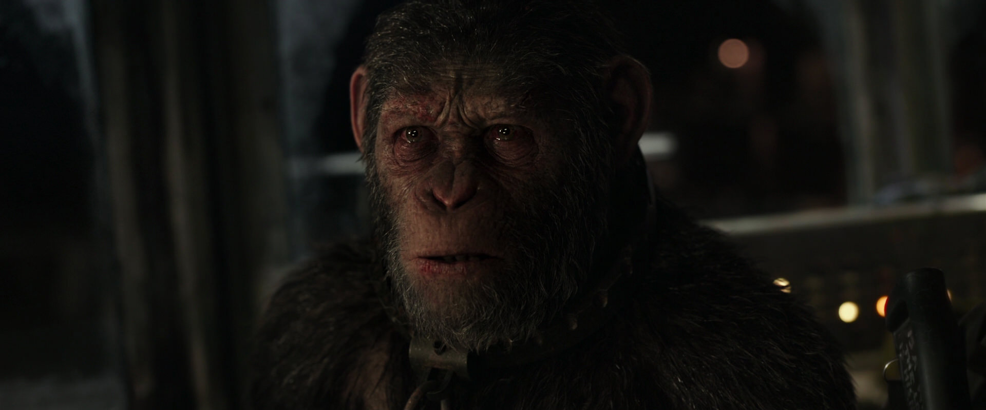 War for the Planet of the Apes (2017) screencap 9735