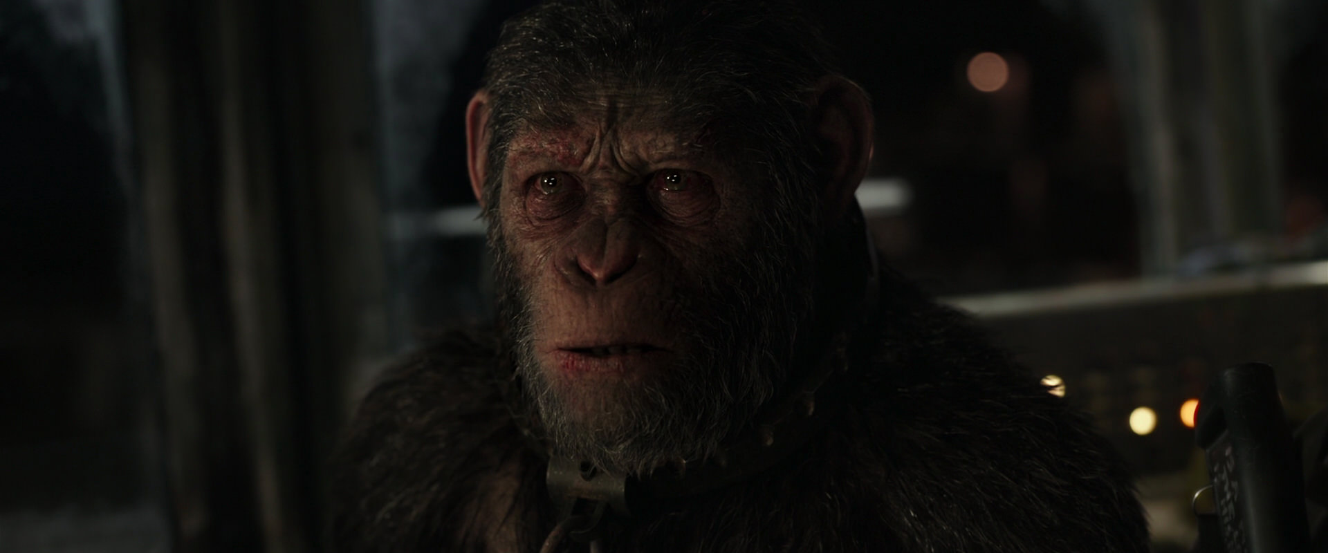 War for the Planet of the Apes (2017) movie still 9736