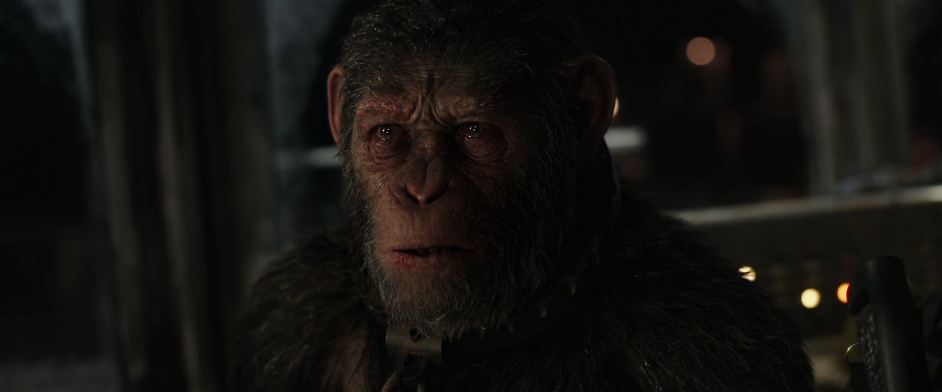 War for the Planet of the Apes (2017) HD screenshot 9737