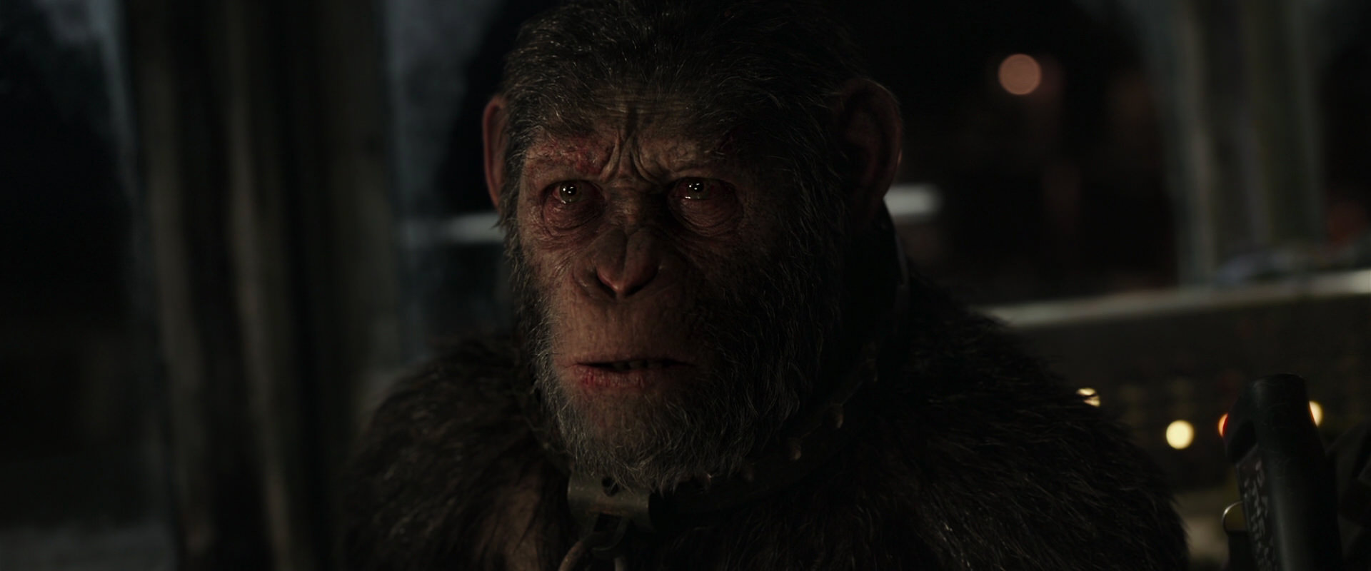 War for the Planet of the Apes (2017) movie still 9739