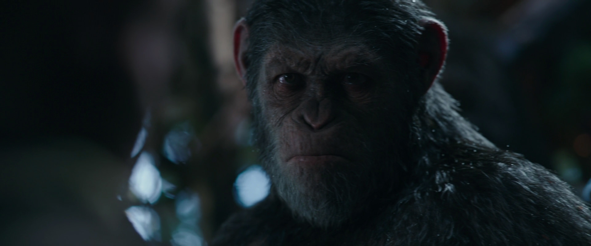 War for the Planet of the Apes (2017) HD screenshot 974