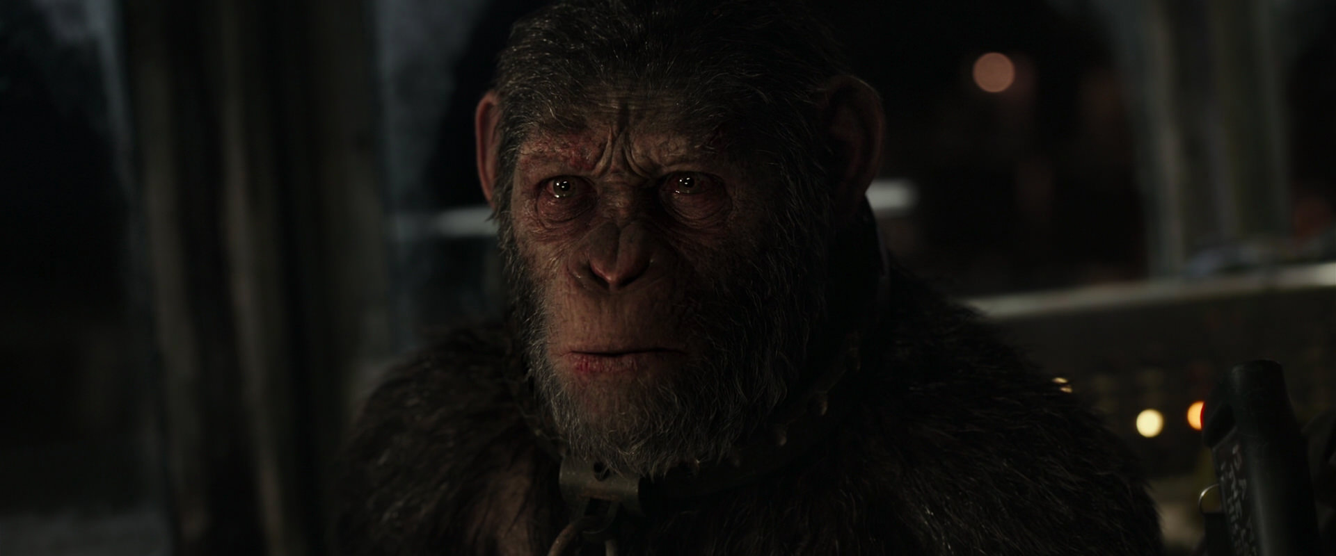 War for the Planet of the Apes (2017) screencap 9741
