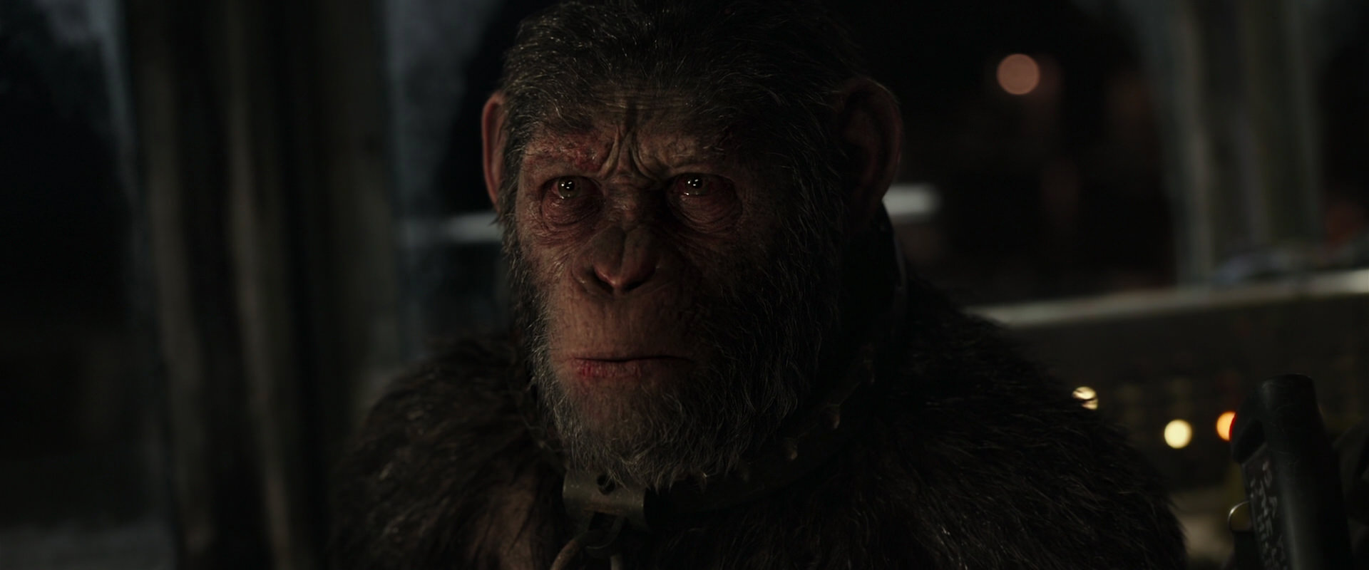 War for the Planet of the Apes (2017) movie still 9745