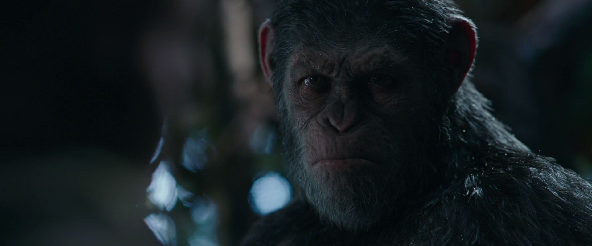 War for the Planet of the Apes (2017) screencap 975