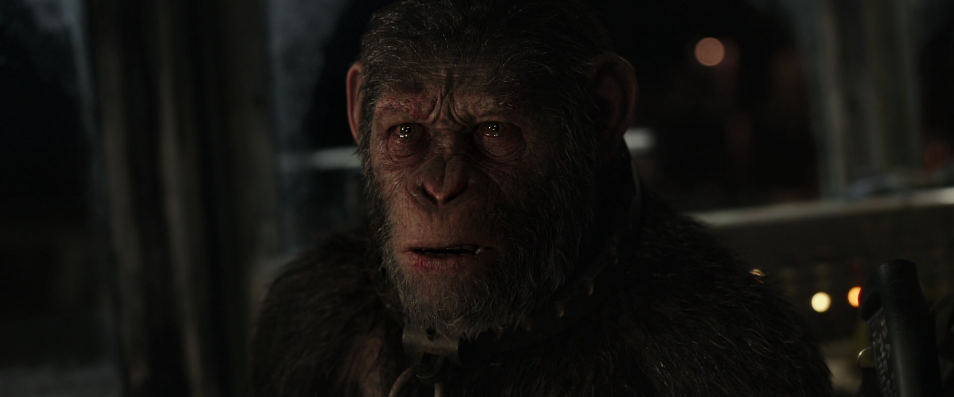 War for the Planet of the Apes (2017) movie still 9775