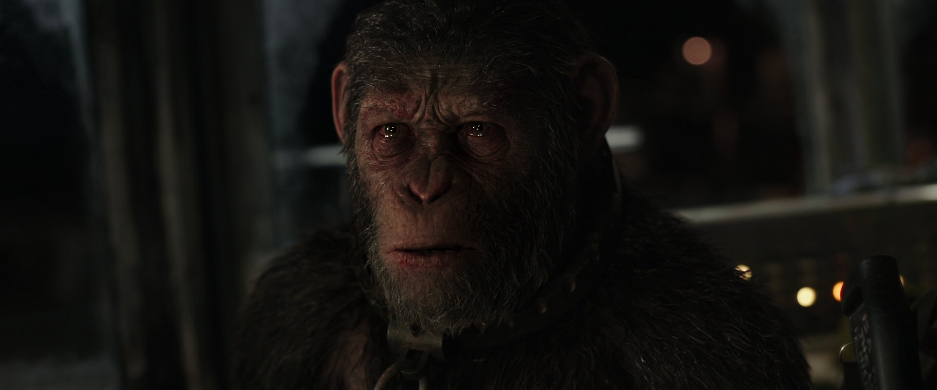 War for the Planet of the Apes (2017) screencap 9777