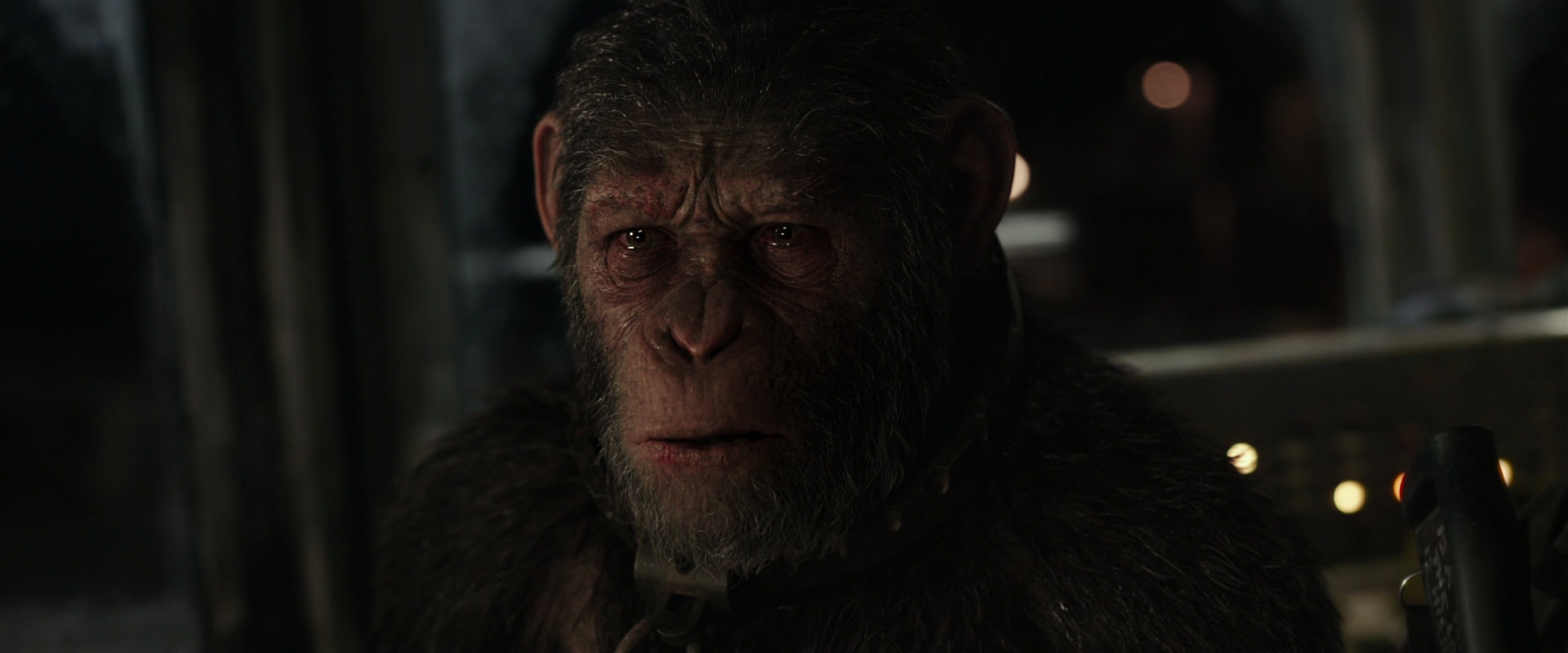 War for the Planet of the Apes (2017) screencap 9780