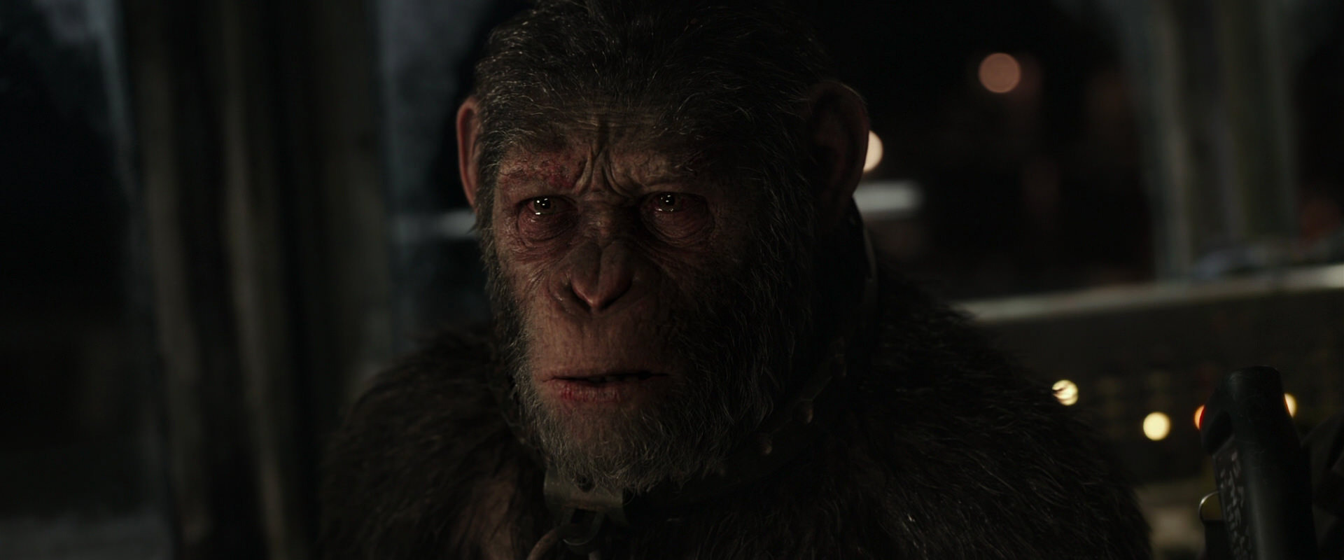 War for the Planet of the Apes (2017) movie still 9781