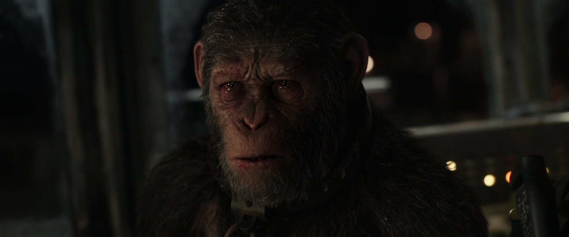 War for the Planet of the Apes (2017) HD screenshot 9782