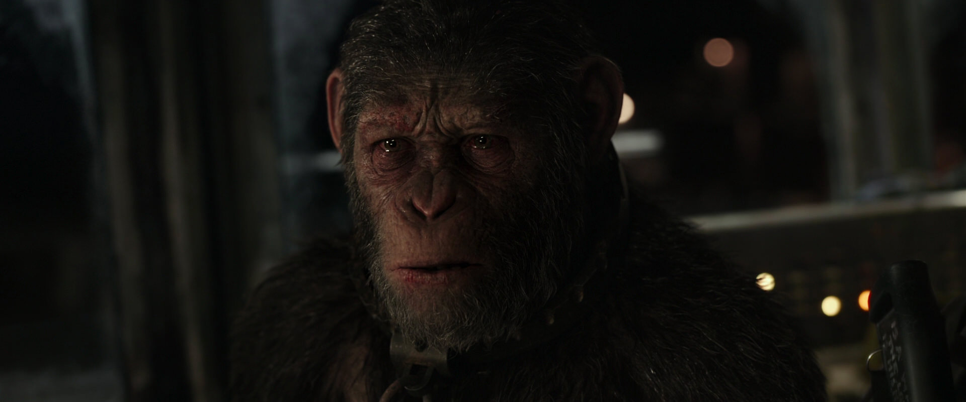 War for the Planet of the Apes (2017) screencap 9783