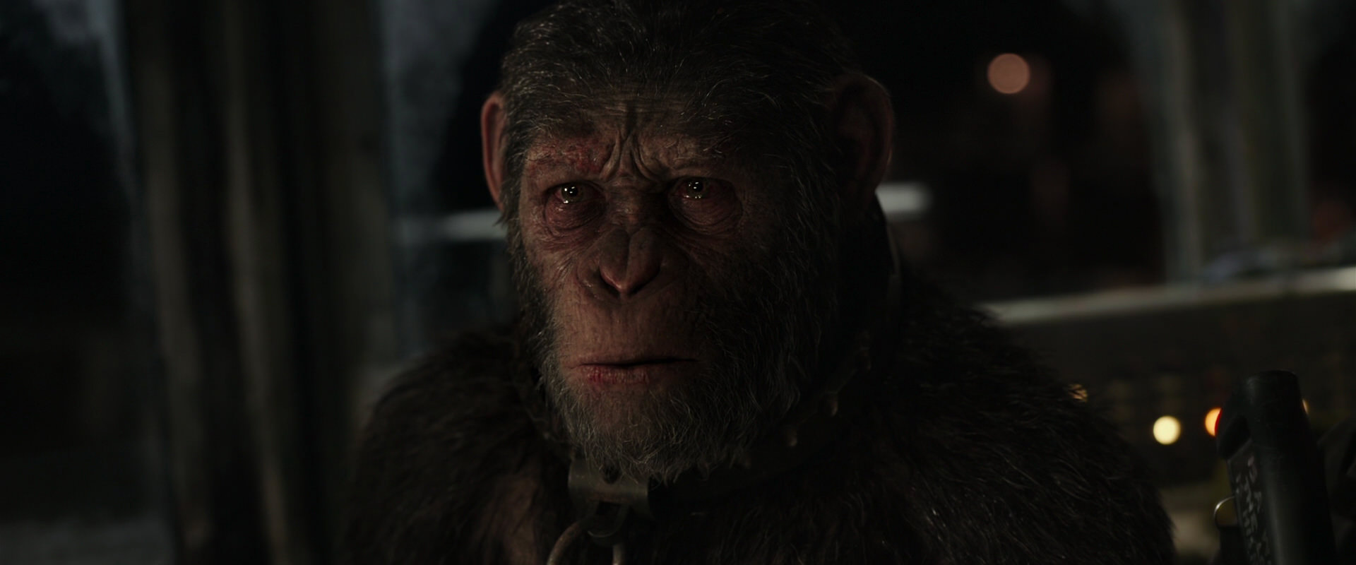 War for the Planet of the Apes (2017) screencap 9786