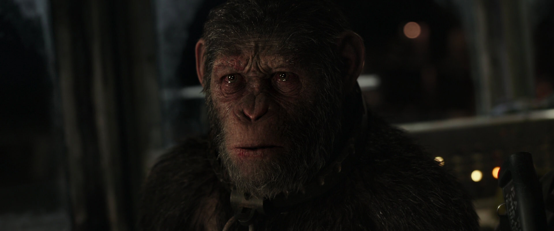 War for the Planet of the Apes (2017) movie still 9787
