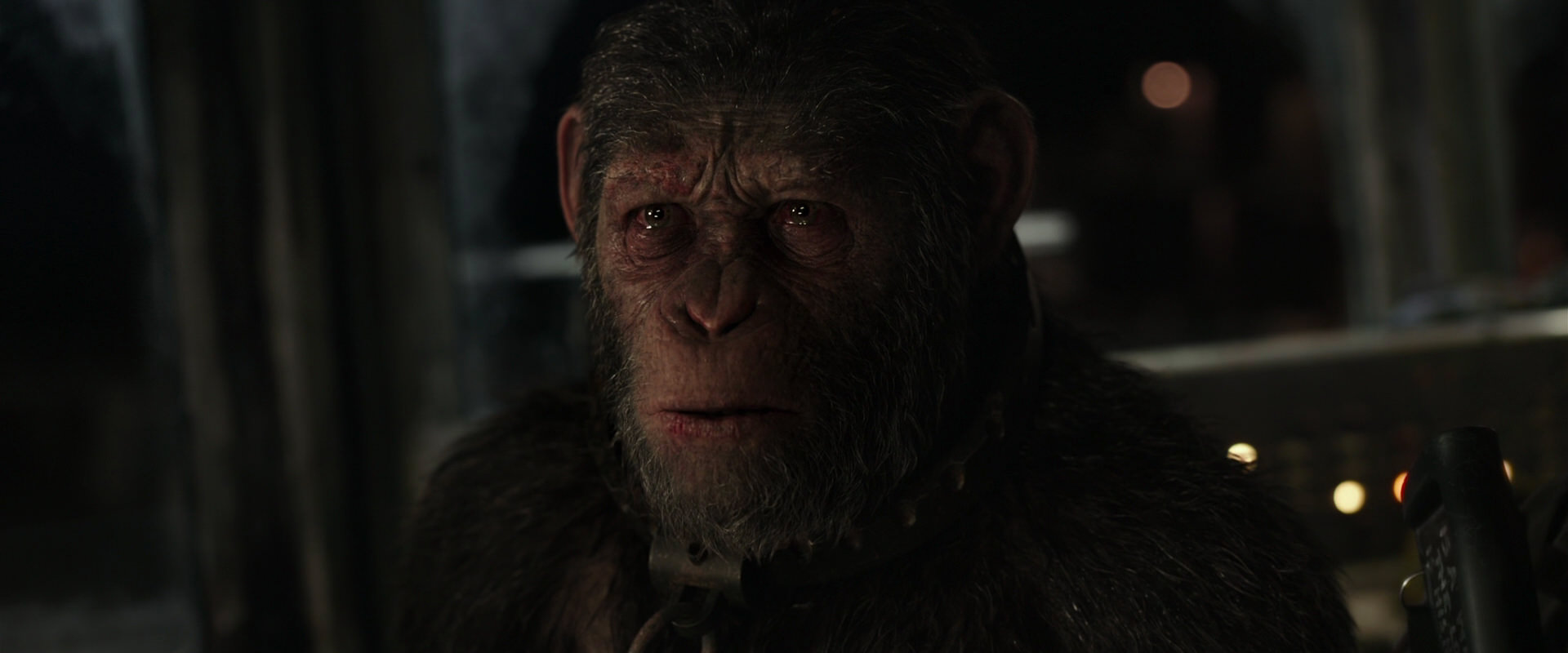 War for the Planet of the Apes (2017) screencap 9789