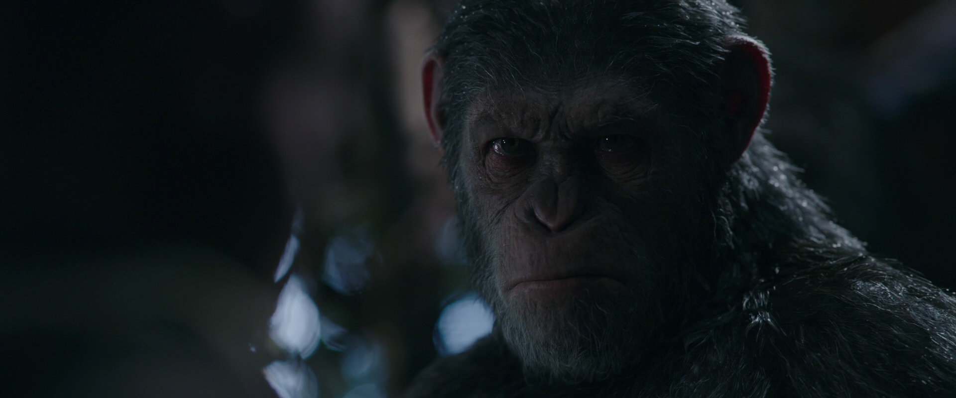 War for the Planet of the Apes (2017) movie still 979