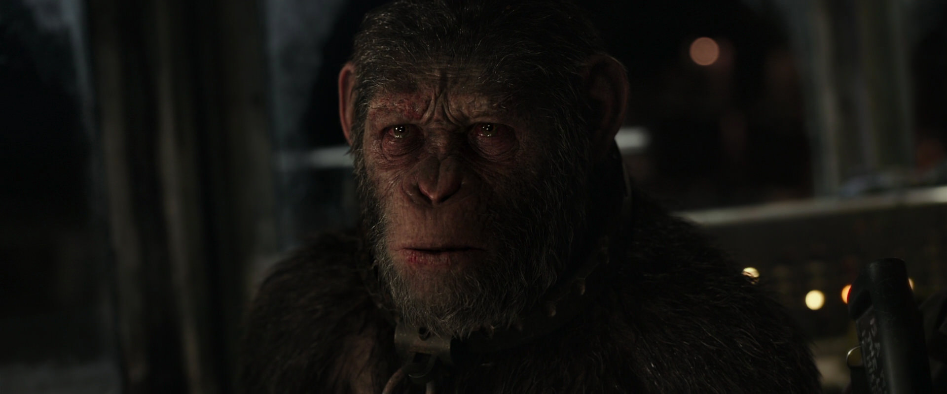War for the Planet of the Apes (2017) movie still 9790