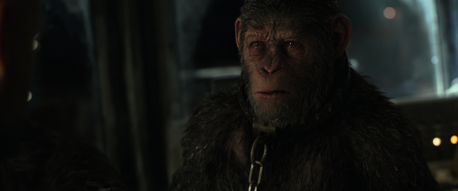 War for the Planet of the Apes (2017) movie still 9814