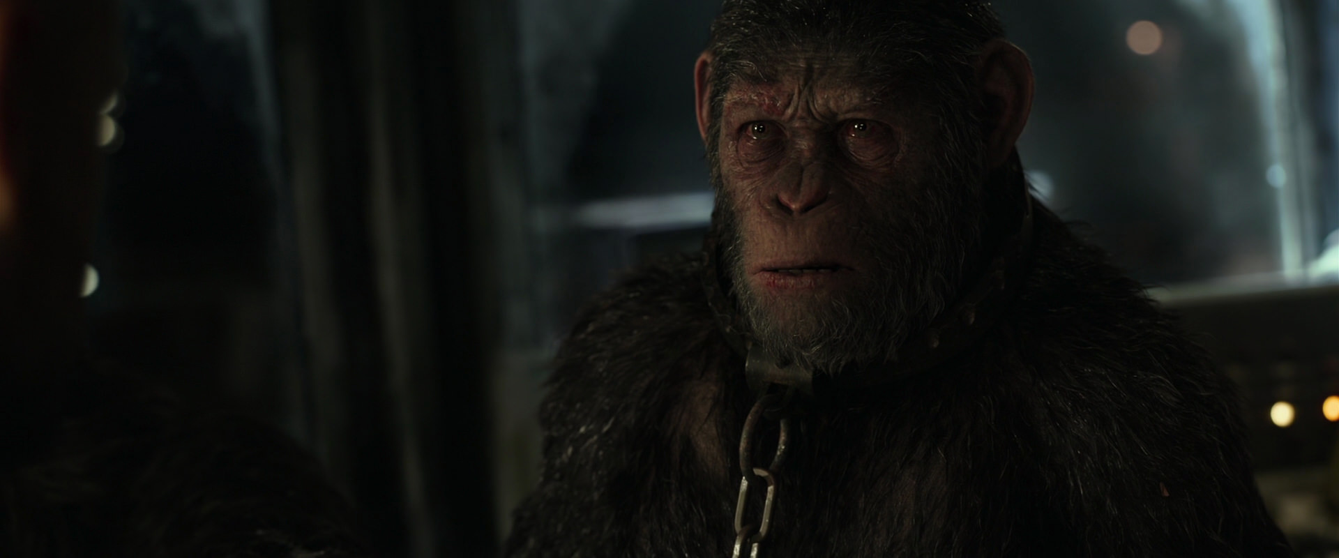 War for the Planet of the Apes (2017) HD screenshot 9815