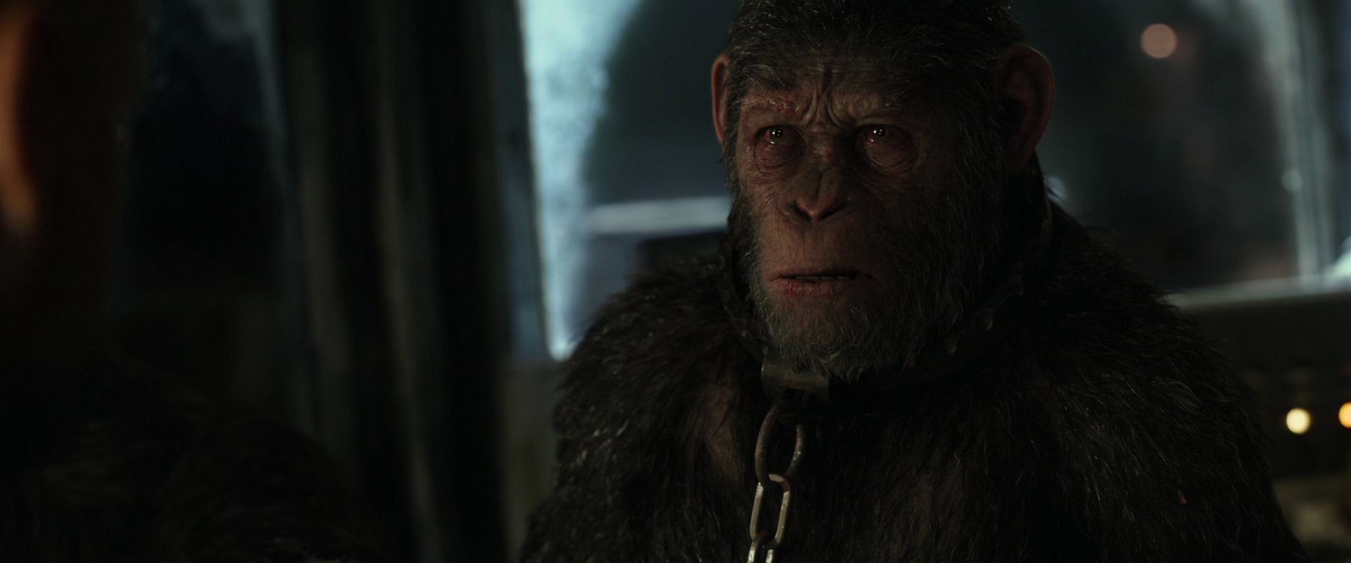War for the Planet of the Apes (2017) screencap 9816