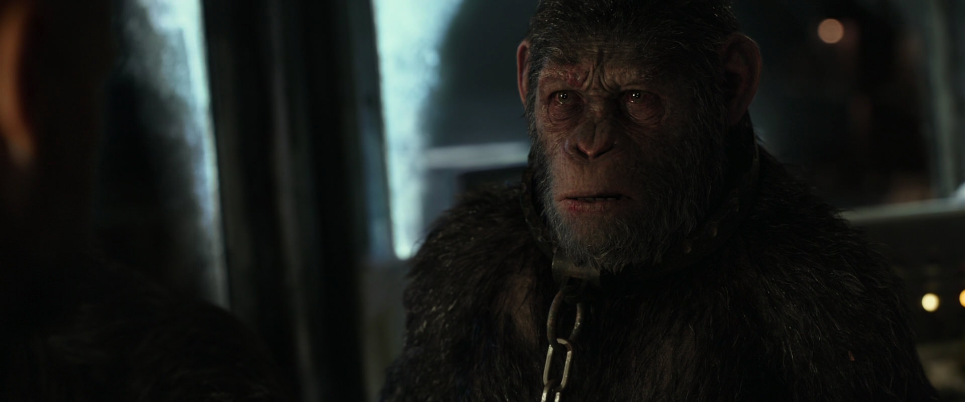 War for the Planet of the Apes (2017) movie still 9817