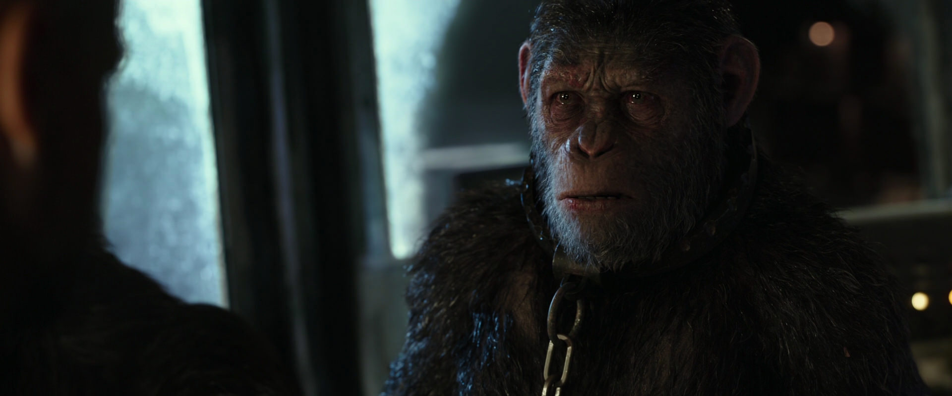 War for the Planet of the Apes (2017) HD screenshot 9818