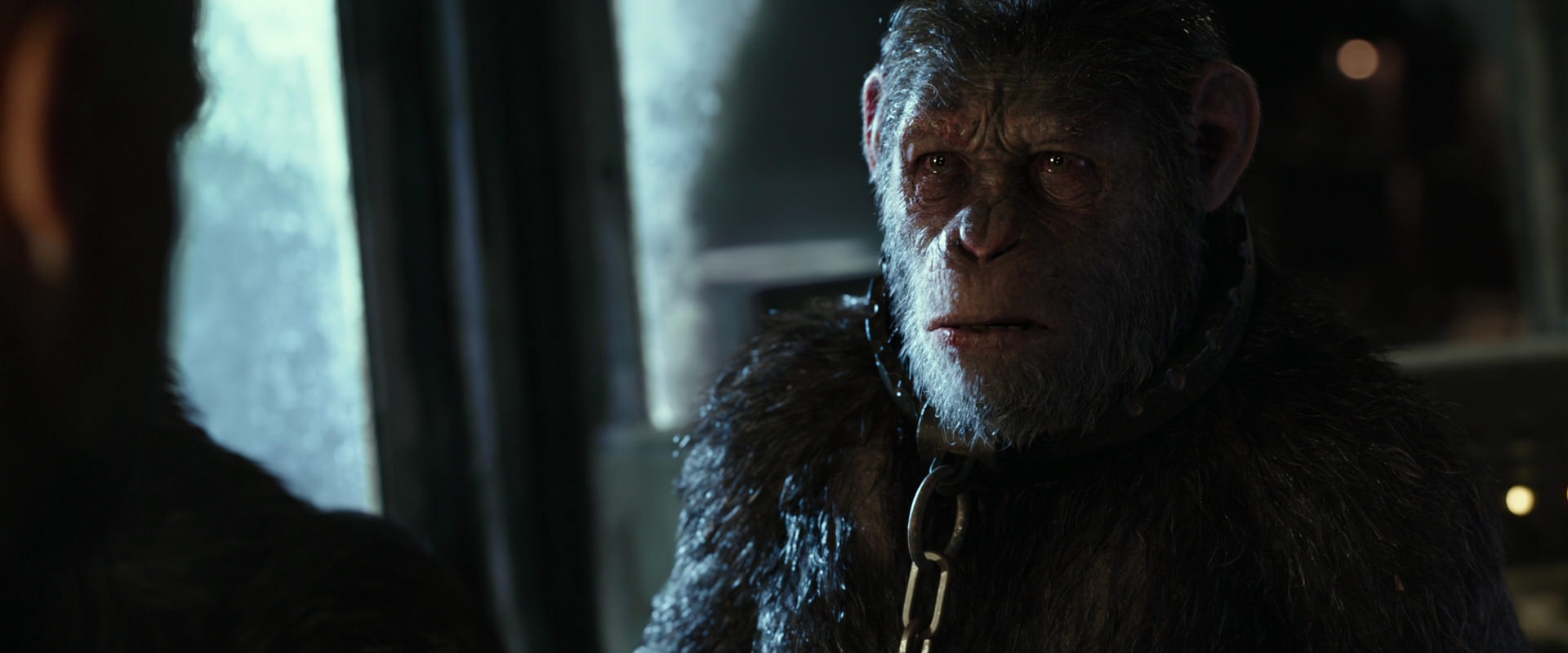 War for the Planet of the Apes (2017) screencap 9819