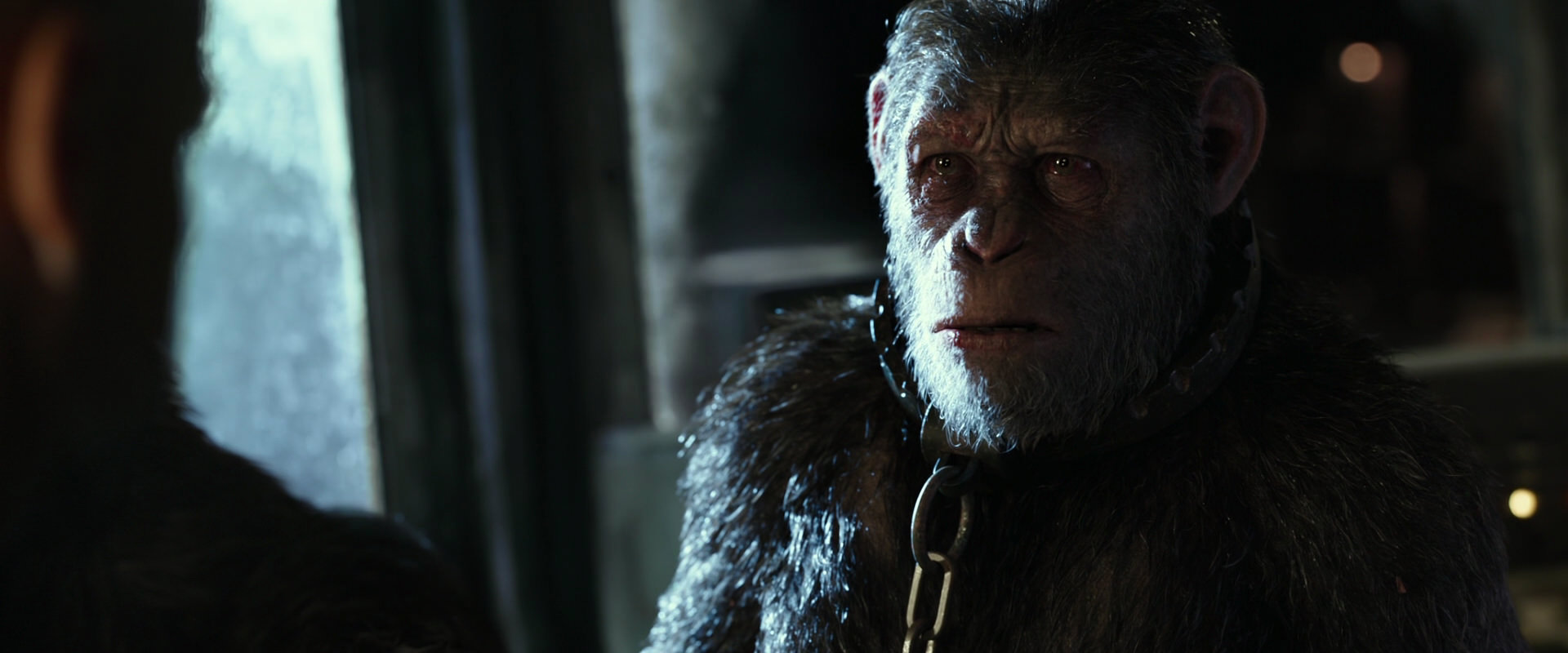 War for the Planet of the Apes (2017) movie still 9820