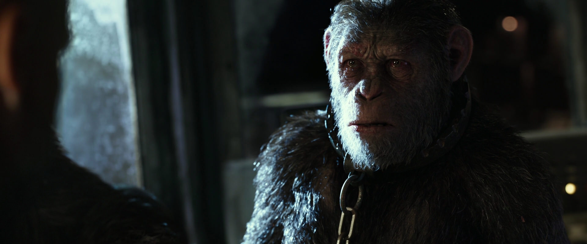 War for the Planet of the Apes (2017) HD screenshot 9821