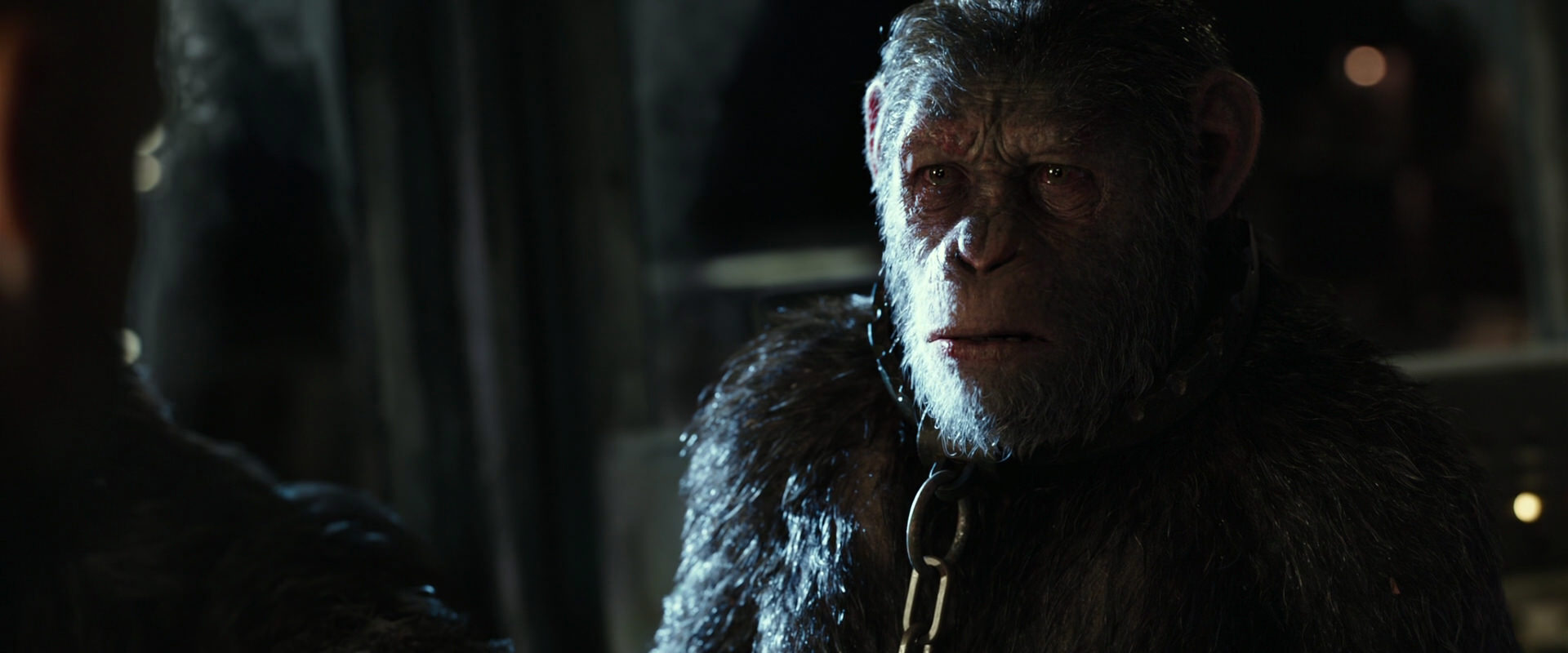 War for the Planet of the Apes (2017) screencap 9822