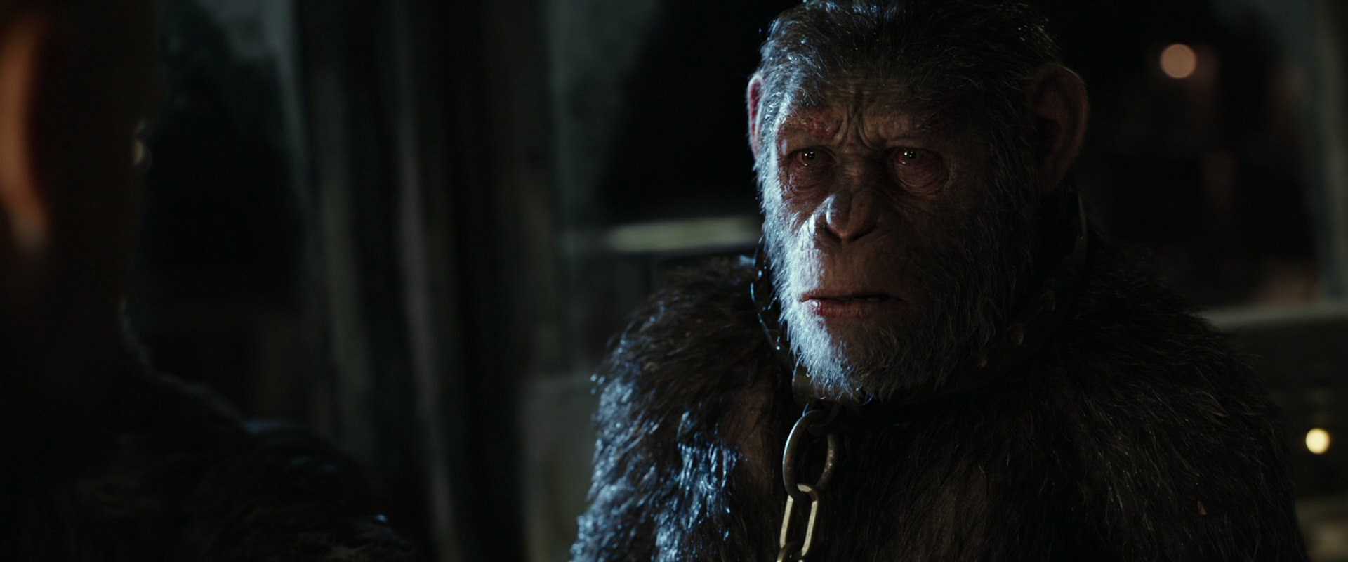 War for the Planet of the Apes (2017) movie still 9823