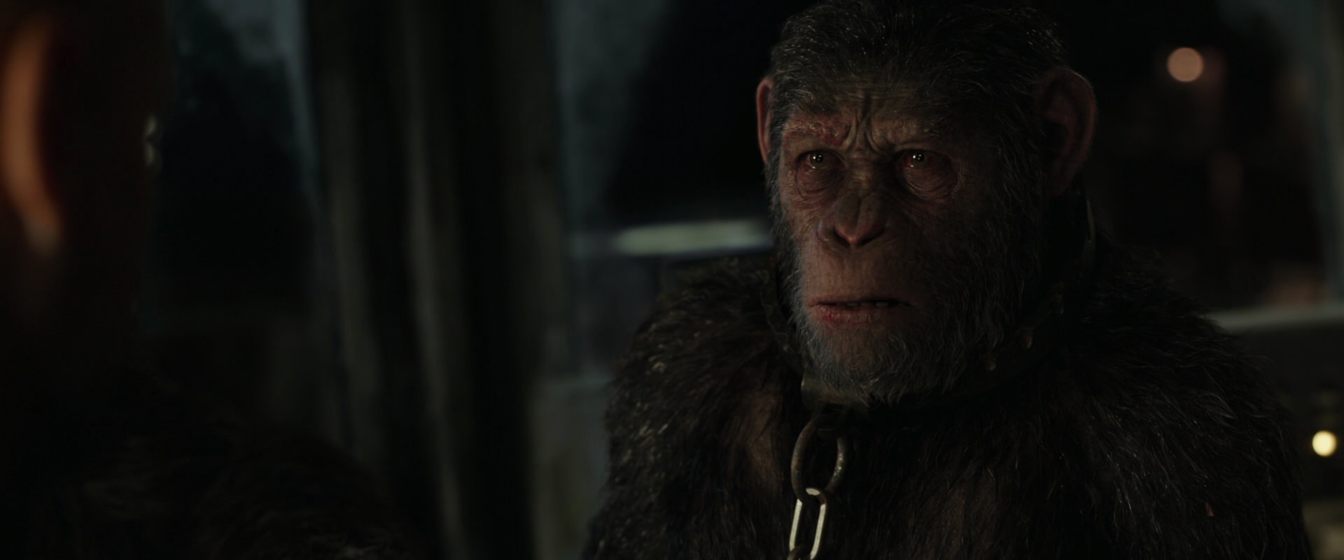 War for the Planet of the Apes (2017) screencap 9825