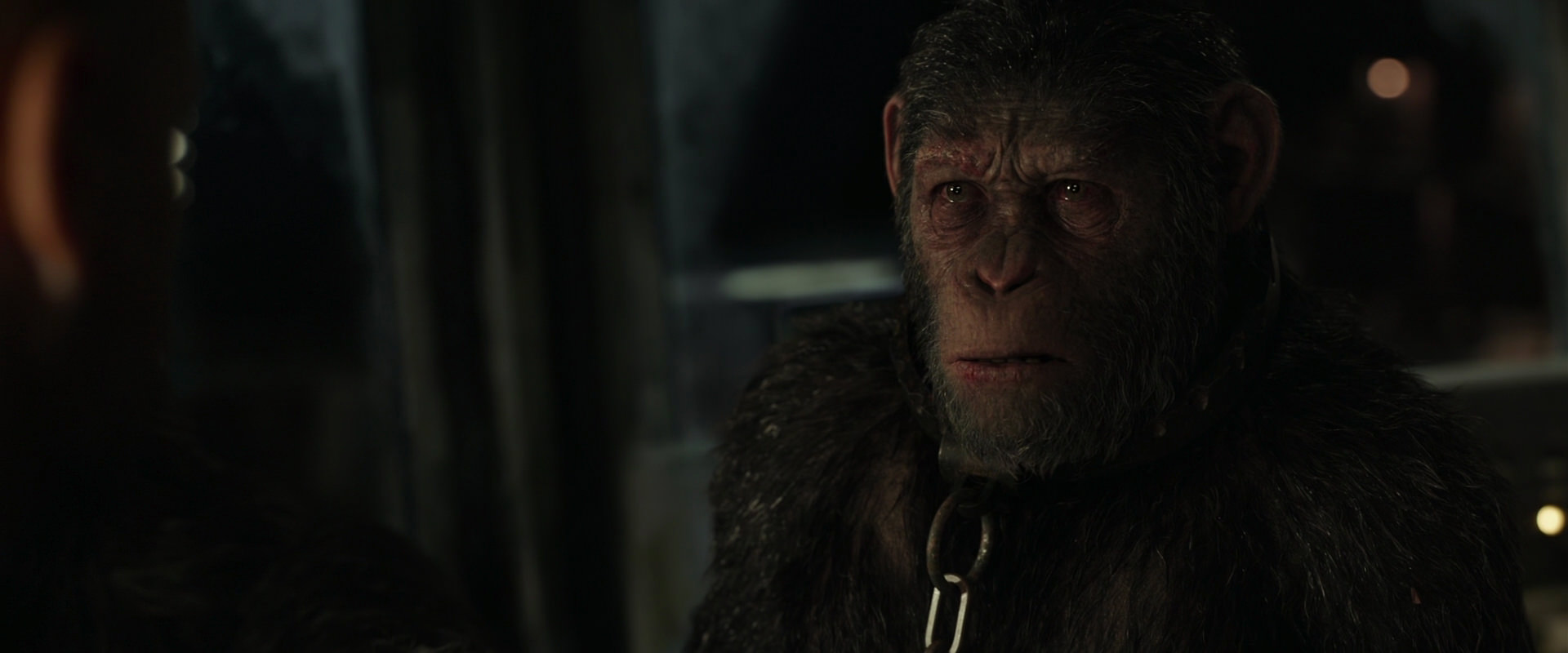 War for the Planet of the Apes (2017) movie still 9826
