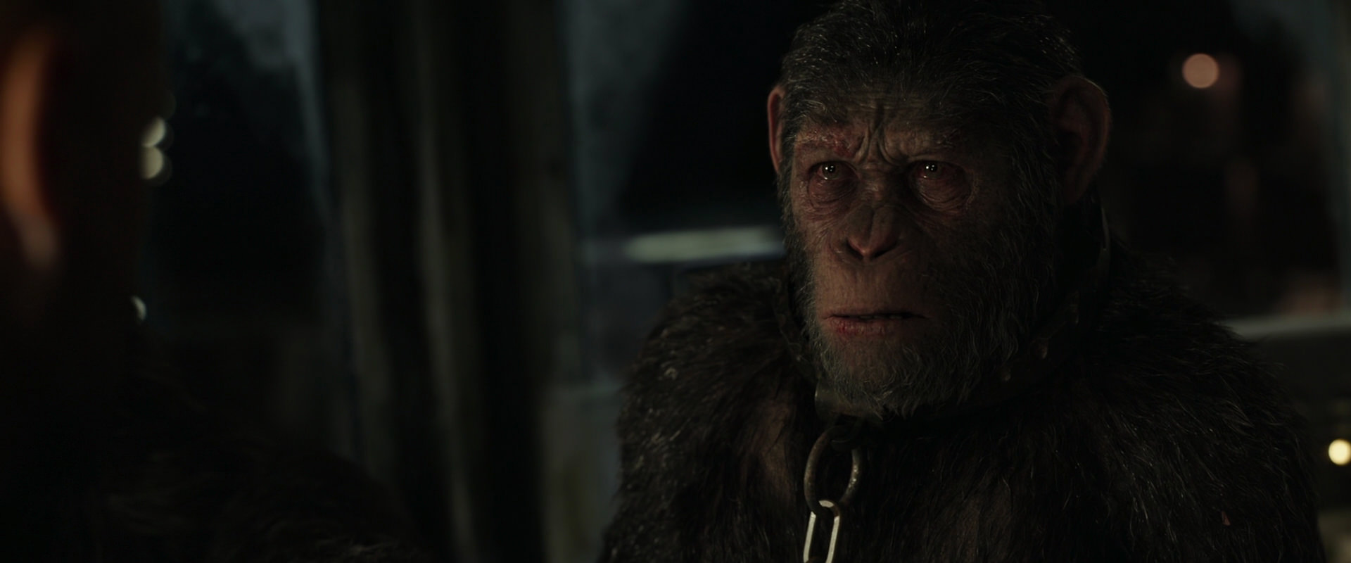 War for the Planet of the Apes (2017) HD screenshot 9827