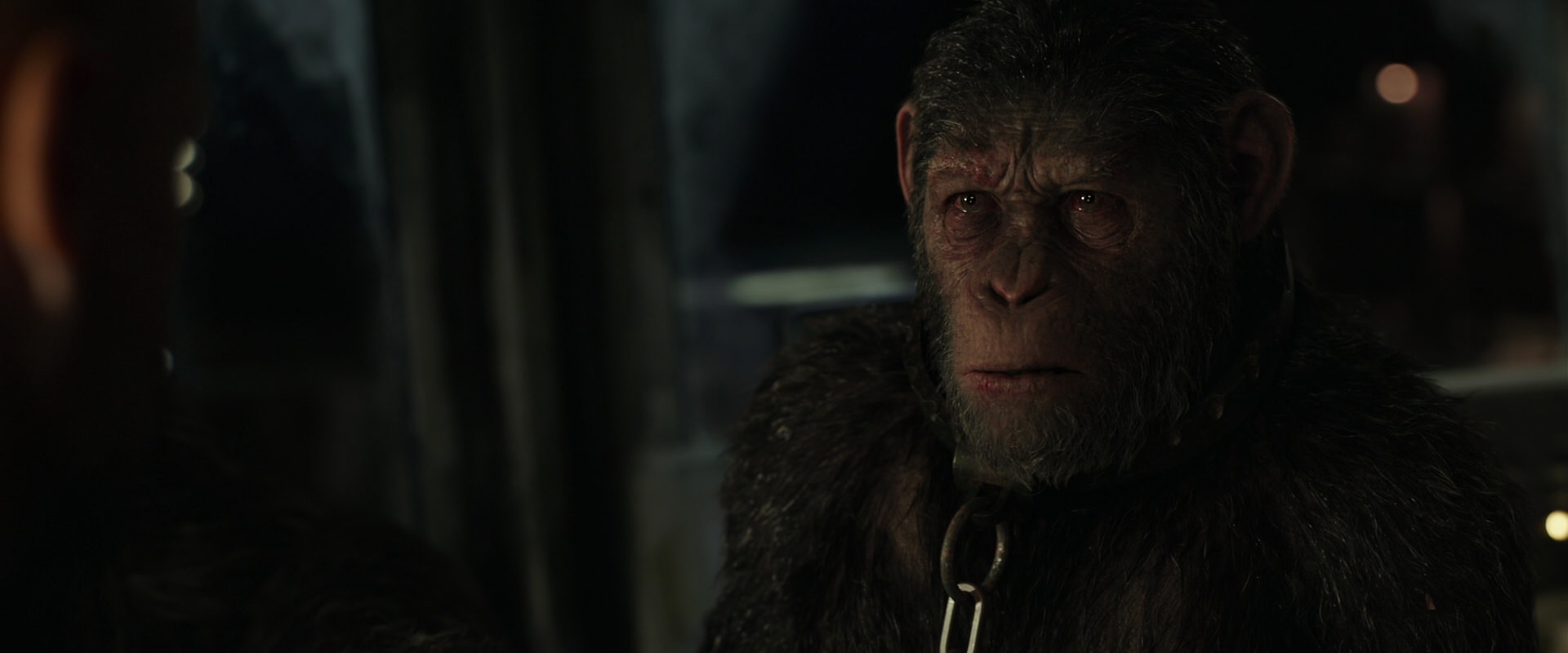 War for the Planet of the Apes (2017) screencap 9828