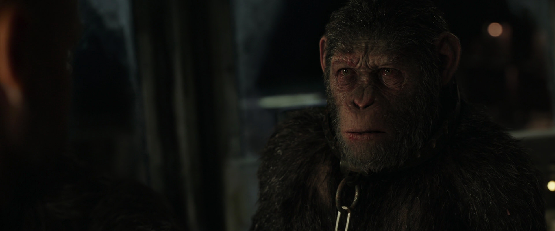 War for the Planet of the Apes (2017) movie still 9829