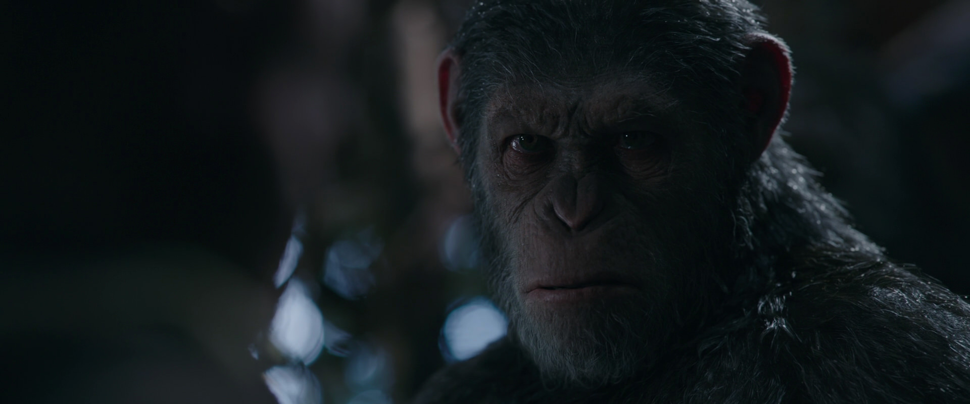 War for the Planet of the Apes (2017) HD screenshot 983