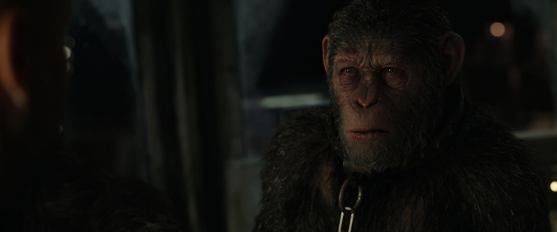 War for the Planet of the Apes (2017) HD screenshot 9830