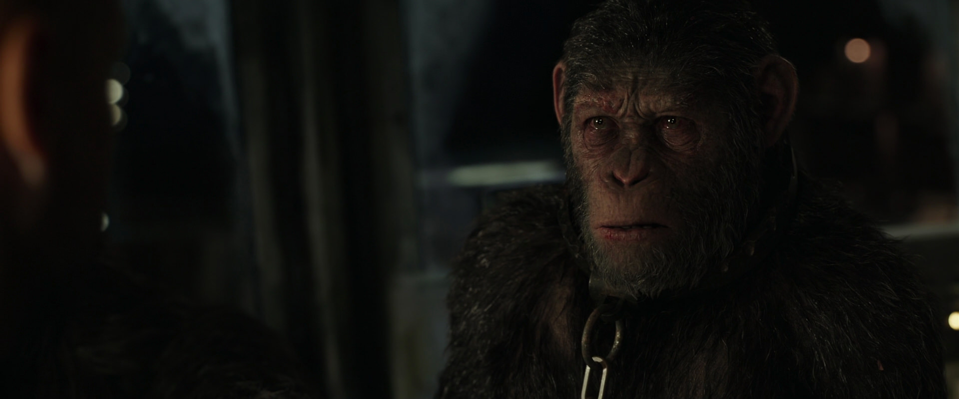 War for the Planet of the Apes (2017) screencap 9831
