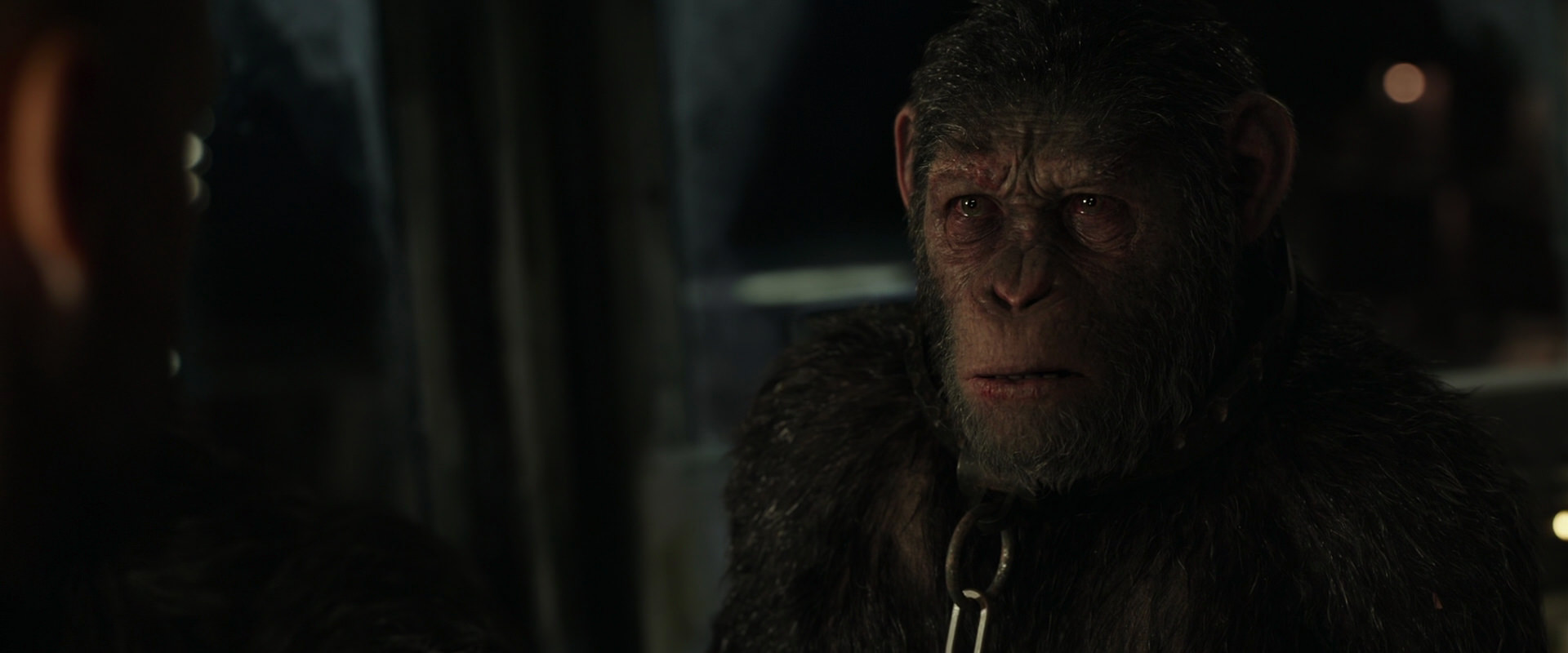 War for the Planet of the Apes (2017) movie still 9832
