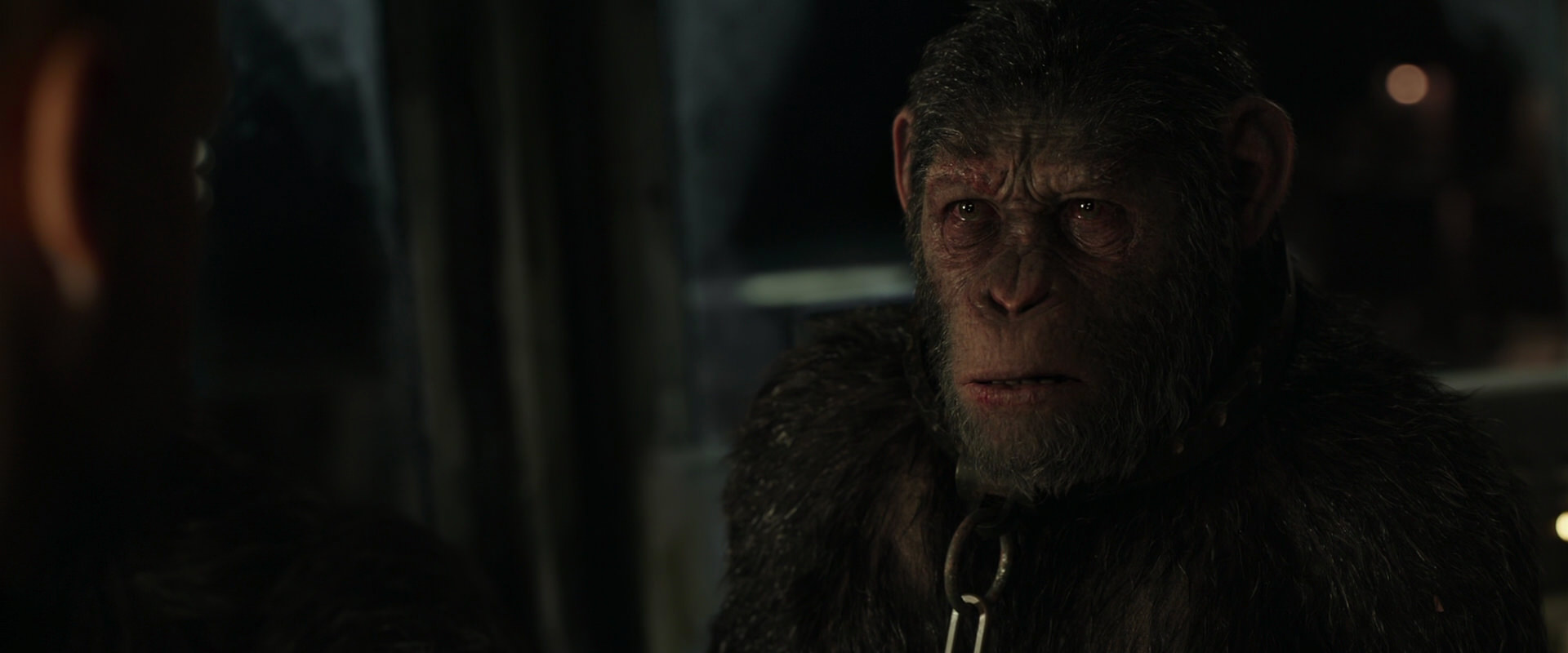 War for the Planet of the Apes (2017) HD screenshot 9833