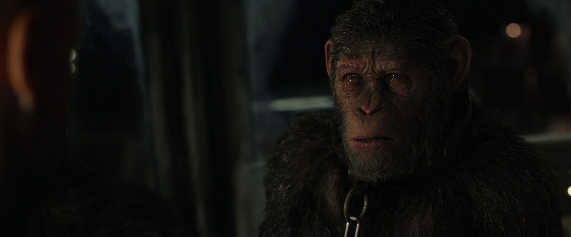 War for the Planet of the Apes (2017) screencap 9834