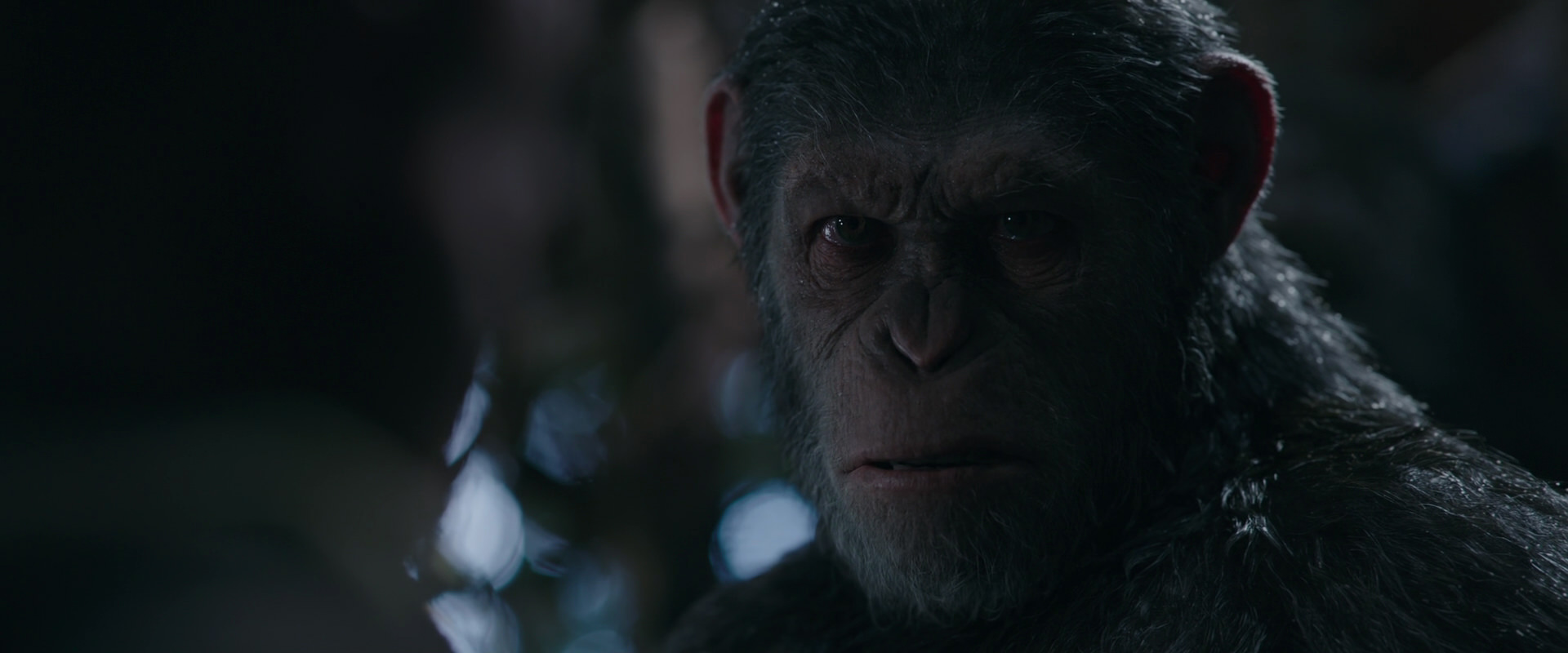 War for the Planet of the Apes (2017) screencap 984