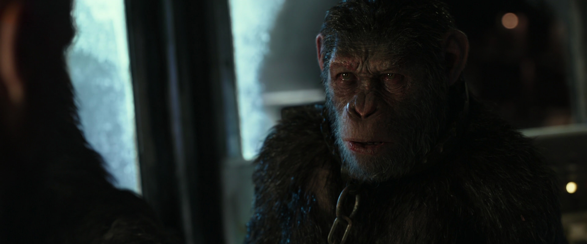 War for the Planet of the Apes (2017) movie still 9850
