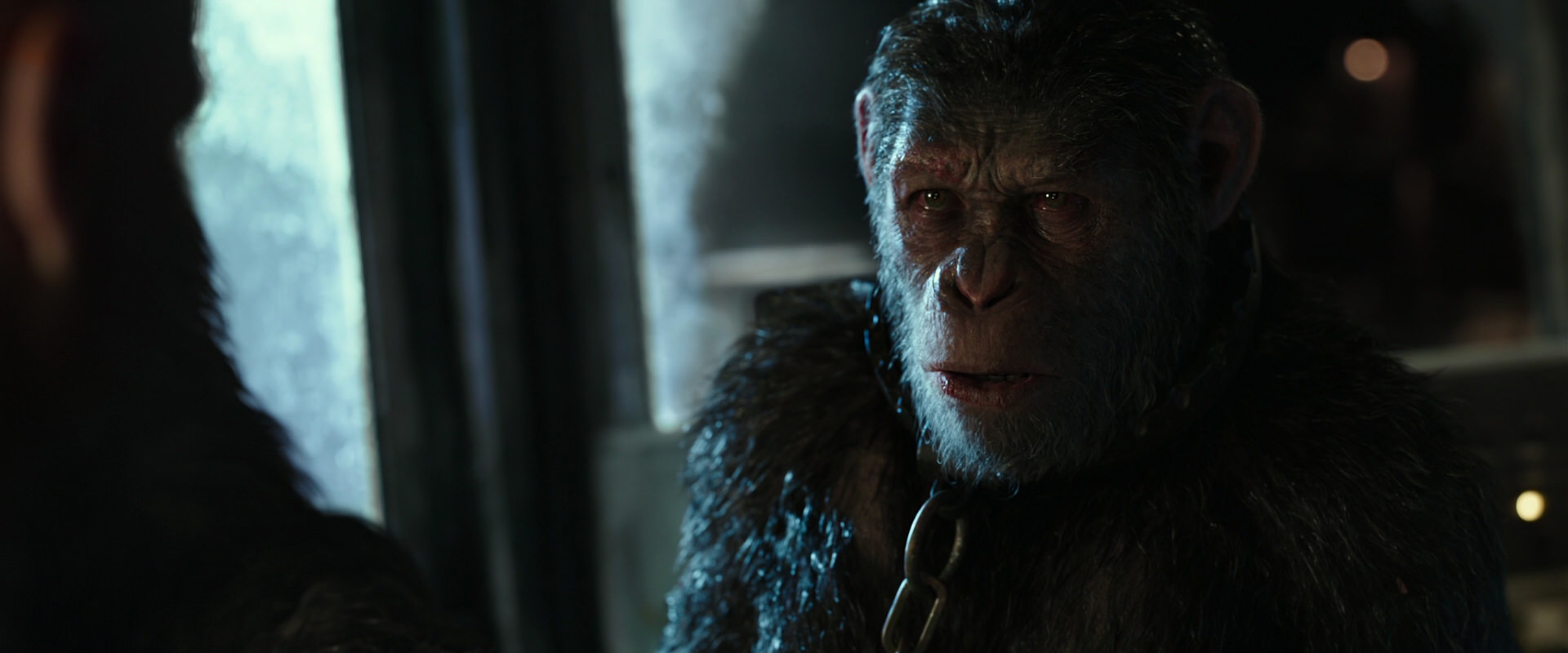 War for the Planet of the Apes (2017) HD screenshot 9851