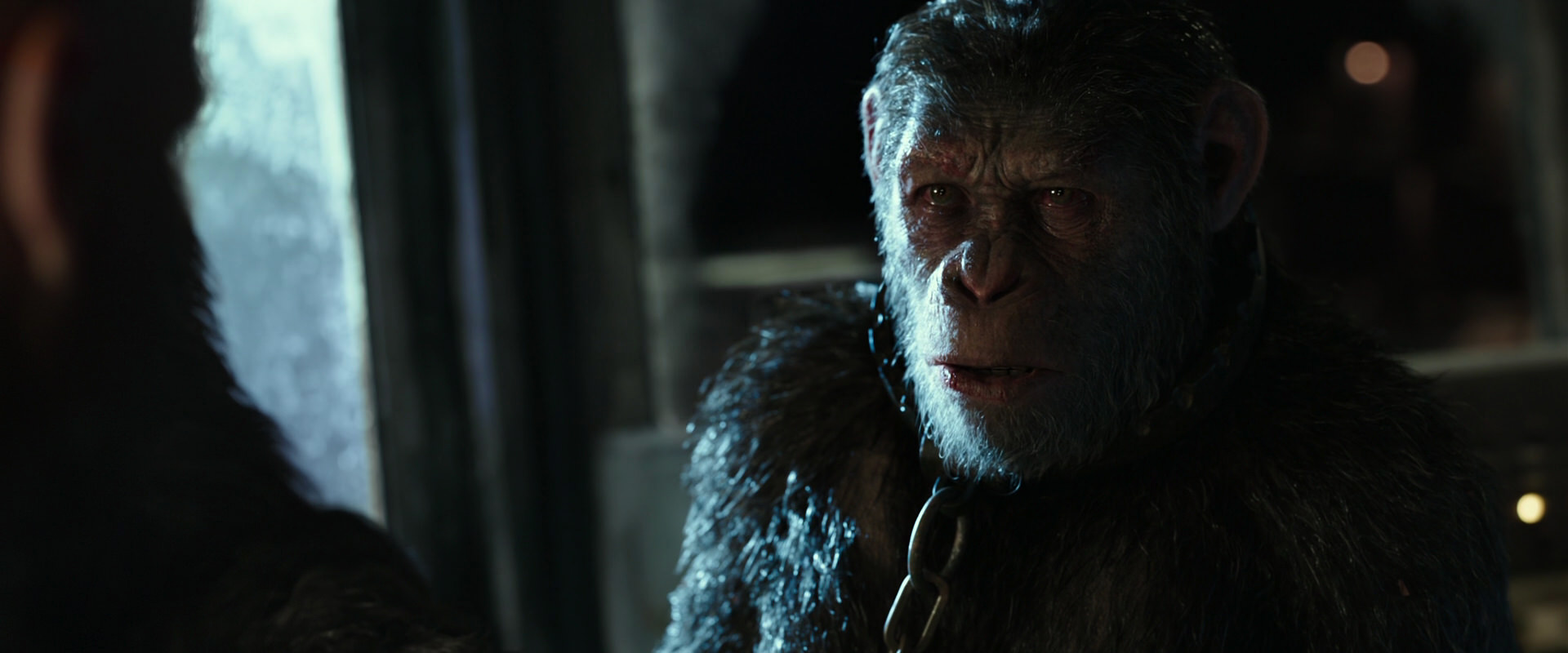 War for the Planet of the Apes (2017) screencap 9852