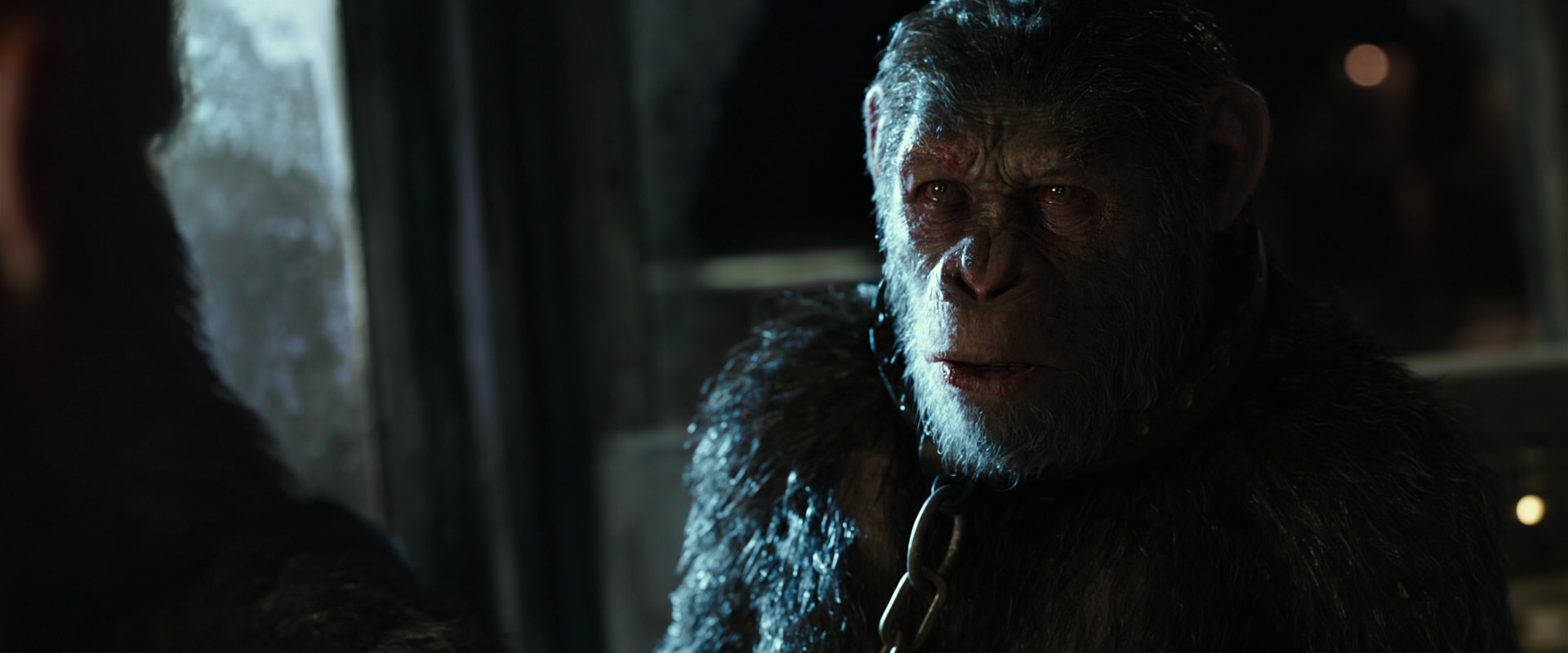 War for the Planet of the Apes (2017) movie still 9853