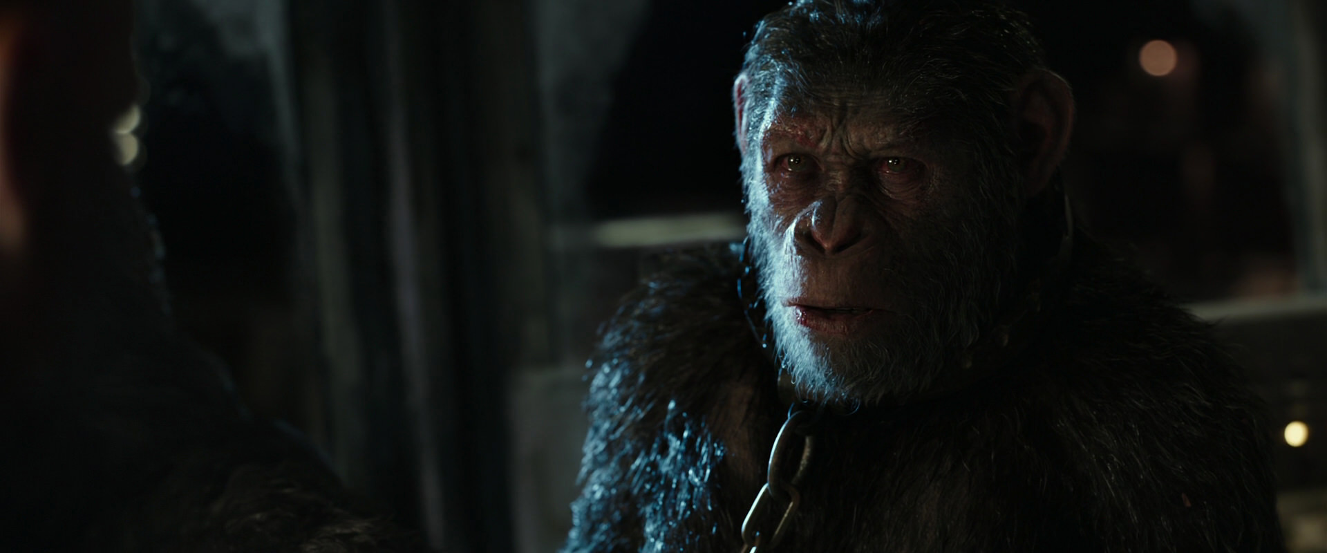 War for the Planet of the Apes (2017) HD screenshot 9854