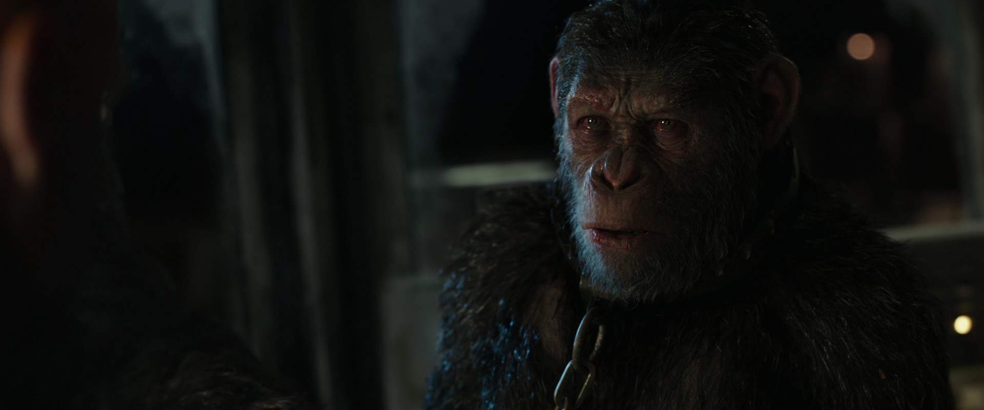War for the Planet of the Apes (2017) screencap 9855