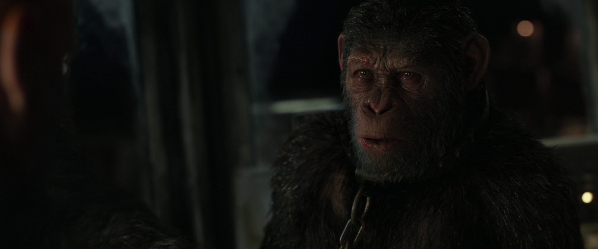War for the Planet of the Apes (2017) movie still 9856